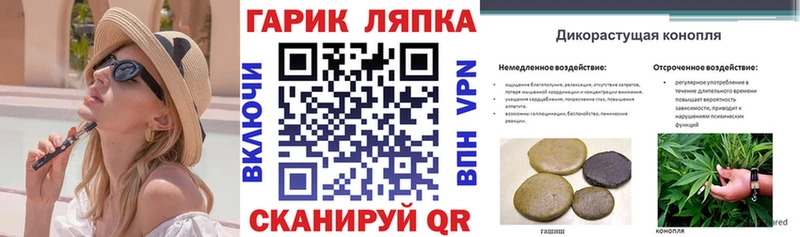 ГАШ гарик Славск