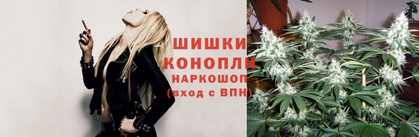 соль курить ск Алзамай