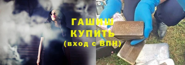 гашик Алексеевка